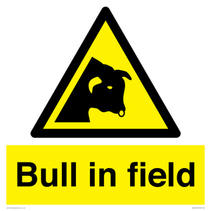 Bull in field